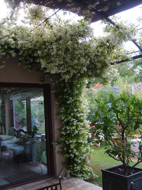 Le Clos Martin Eyragues Exterior foto