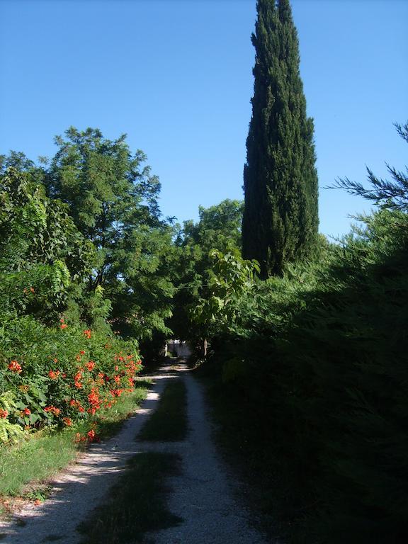 Le Clos Martin Eyragues Exterior foto