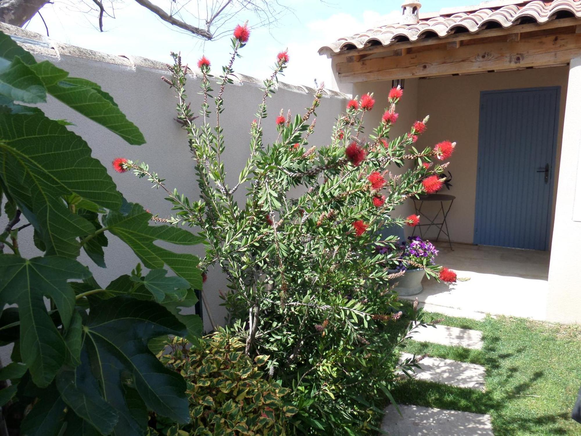 Le Clos Martin Eyragues Exterior foto