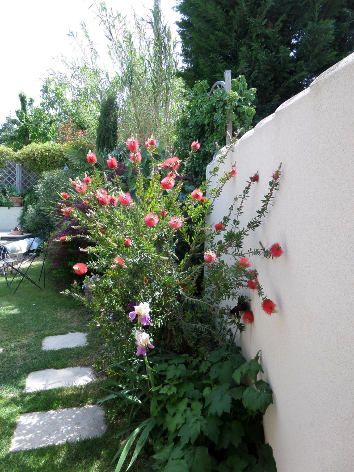 Le Clos Martin Eyragues Exterior foto